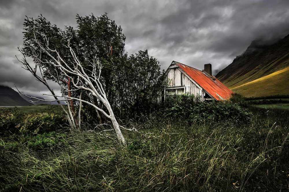 The Last Glance à Bragi Ingibergsson - BRIN