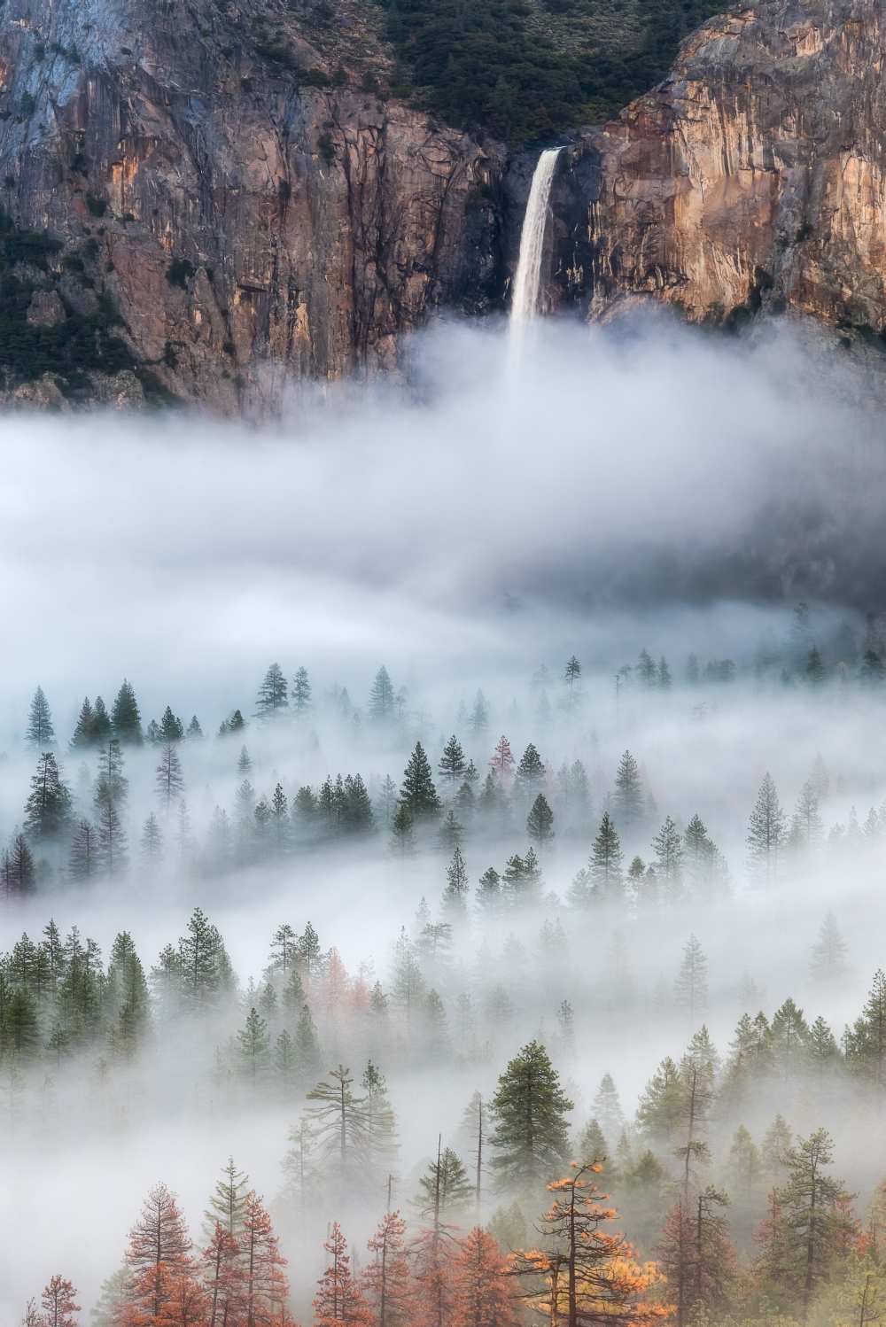 Mist Falls à Brandon Yoshizawa