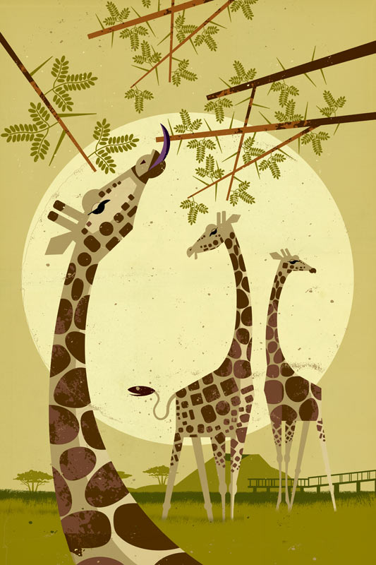 Giraffes à Dieter Braun