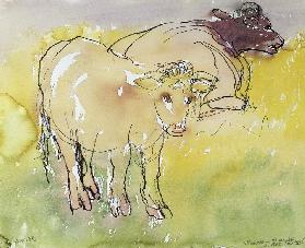 Young Bullocks in the Meadow, 1983 (pen & ink with w/c on paper) 