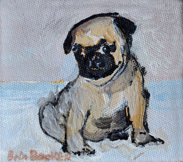 Vincent, the pug puppy à Brenda Brin  Booker