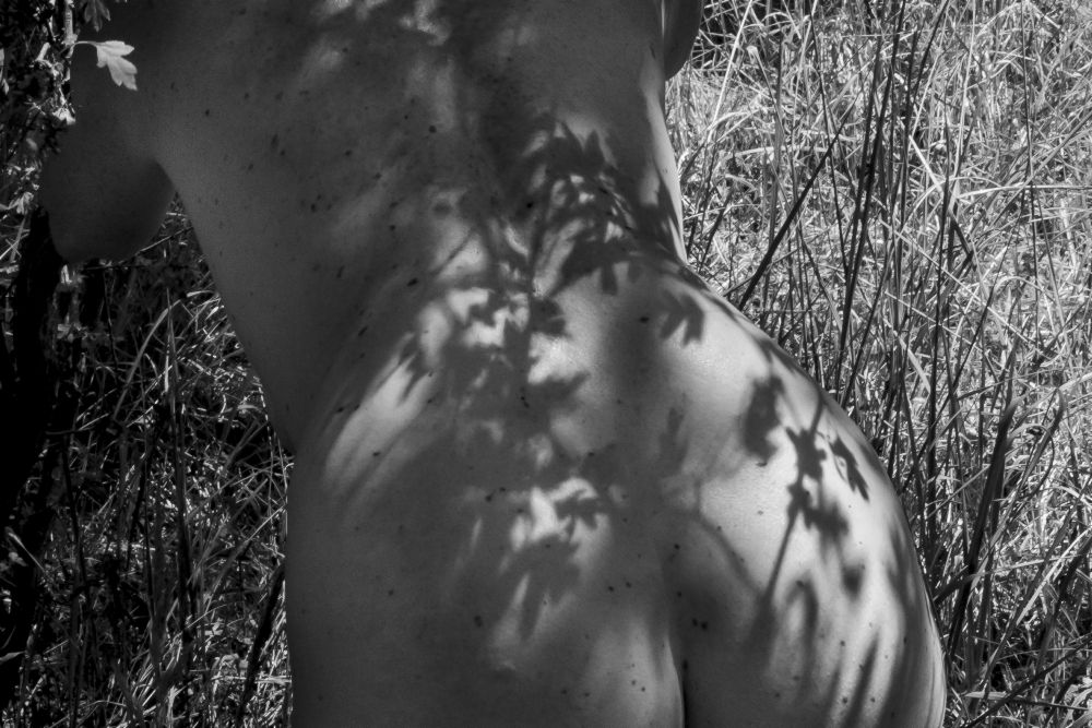 Female back-nude with shadow play à Amelie Breslauer