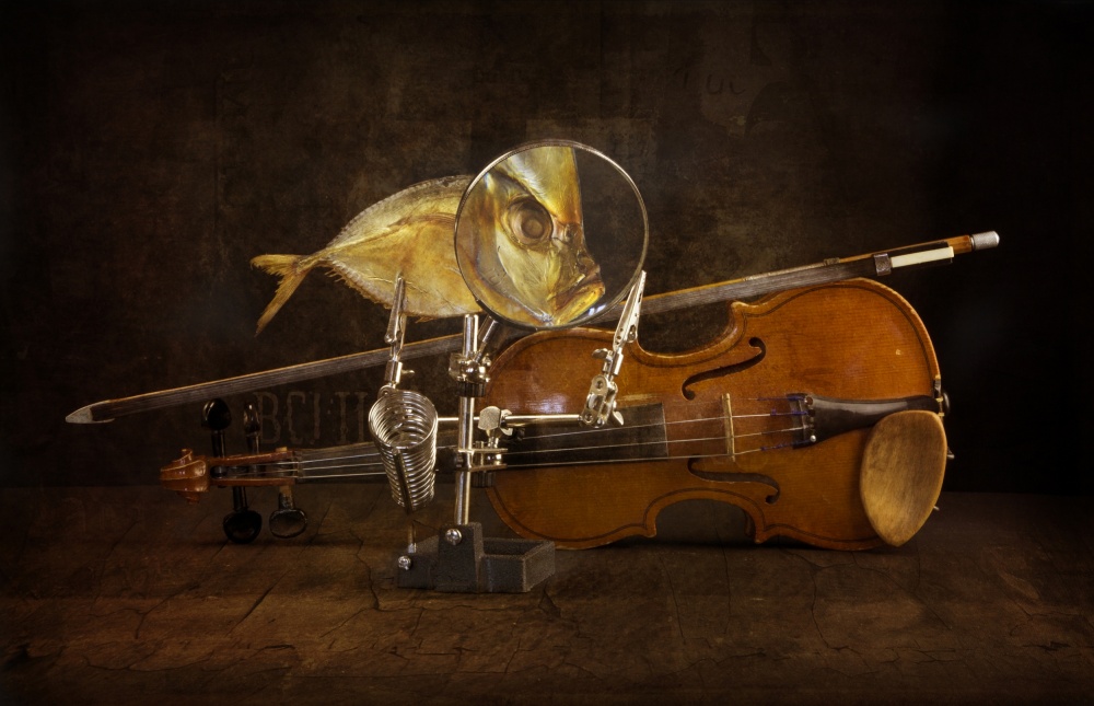 Fish and violin à Brig Barkow