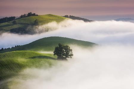 green Hills