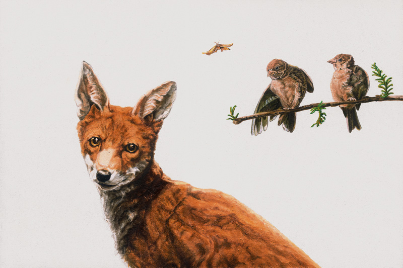 Fox Birds à Maxine R. Cameron