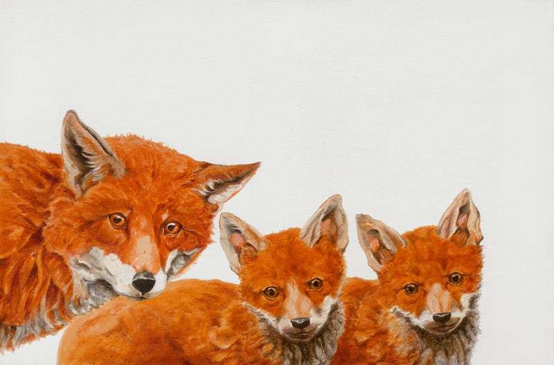 Meet the Foxes à Maxine R. Cameron