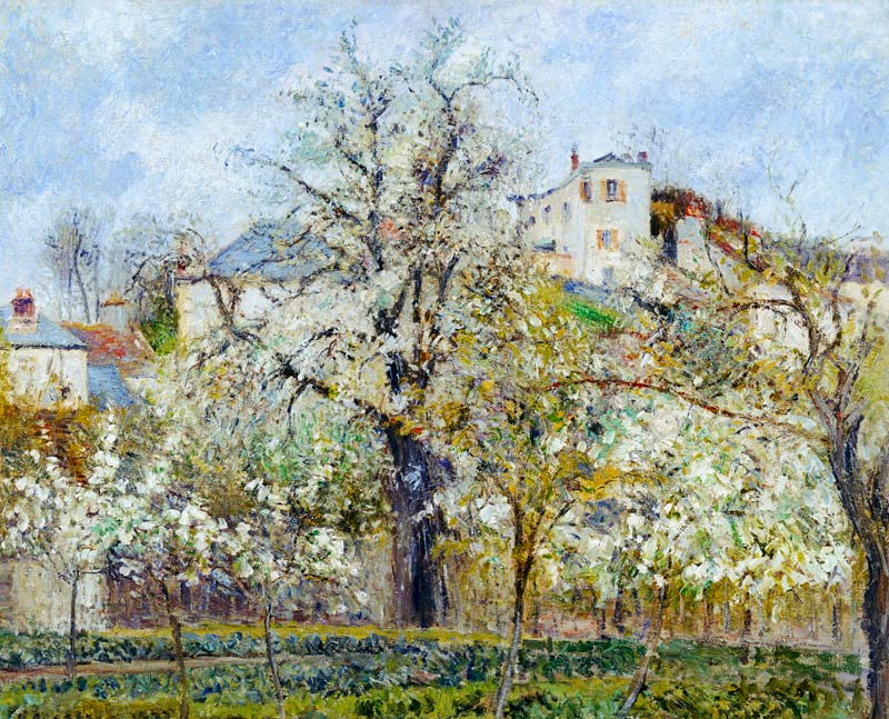 The Vegetable Garden with Trees in Blossom, Spring, Pontoise à Camille Pissarro