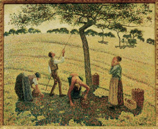 Pissarro / The Apple Harvest à Camille Pissarro