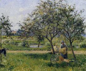 C.Pissarro / La brouette, verger