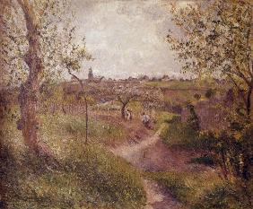 C. Pissarro / Chemin montant a travers..