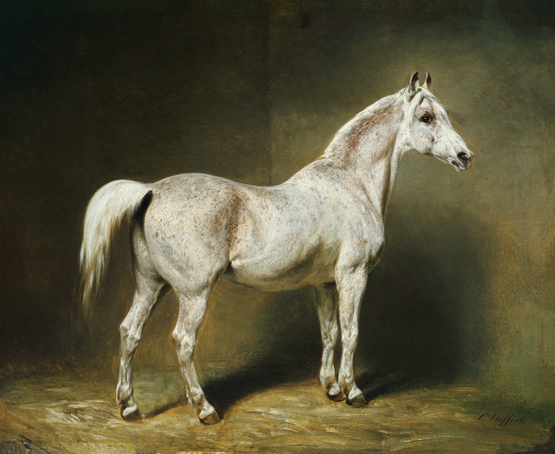 'Beatrice', the white arab saddlehorse of Helmuth Graf von Moltke à Carl Constantin Steffeck