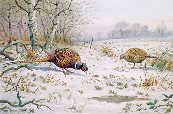Pheasant and Partridge Eating (w/c on paper)  à Carl  Donner