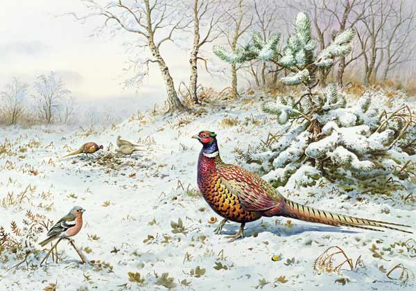 Cock Pheasant and Chaffinch  à Carl  Donner