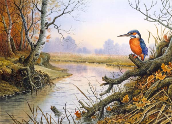 Kingfisher: Autumn River Scene  à Carl  Donner