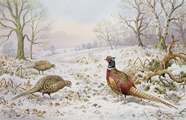 Pheasant and Partridges in a Snowy Landscape  à Carl  Donner