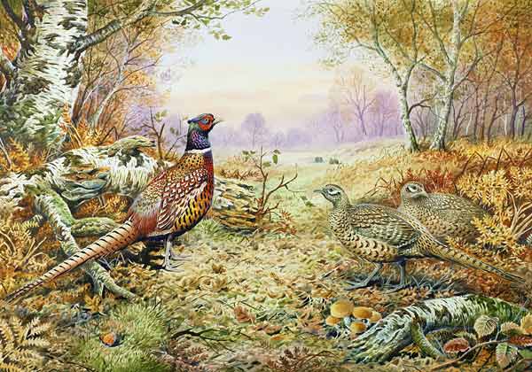 Pheasants in Woodland  à Carl  Donner