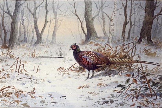 Pheasants in Snow (w/c)  à Carl  Donner