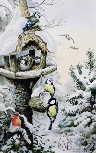 Winter Bird Table with Blue Tits, Great Tits, House Sparrows and a Robin  à Carl  Donner