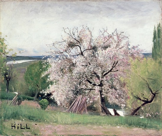 Fruit Tree in Blossom, Bois-le-Roi à Carl Fredrik Hill