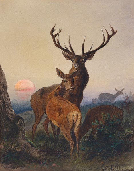 Ein Hirsch und ein Reh bei Sonnenuntergang à Carl Friedrich Deiker