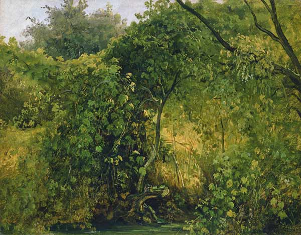 Bushes at Pillnitz à Carl Gustav Carus