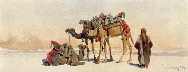 Resting with Three Camels in the Desert à Carl Haag