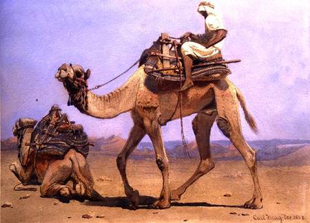 Camel Preparing to Lie Down à Carl Haag