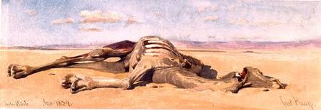 A Dead Camel à Carl Haag