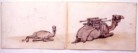 Two sketches of dromedaries à Carl Haag
