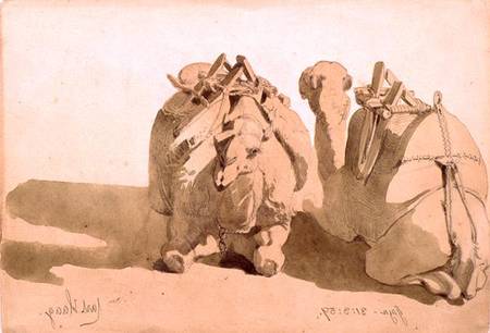 Study of camels à Carl Haag