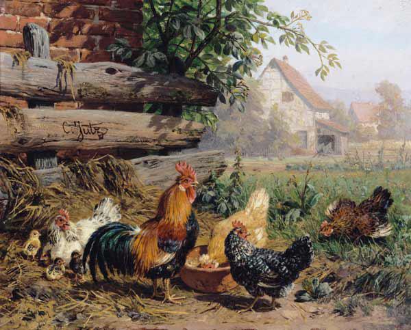 Farmyard Chickens
