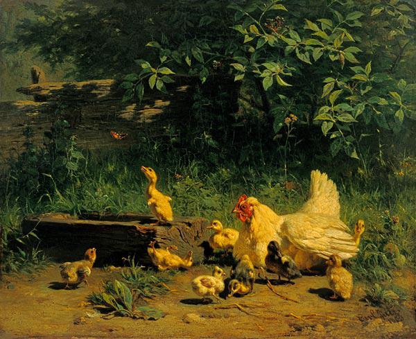 Poule avec des poussins et de jeunes canards