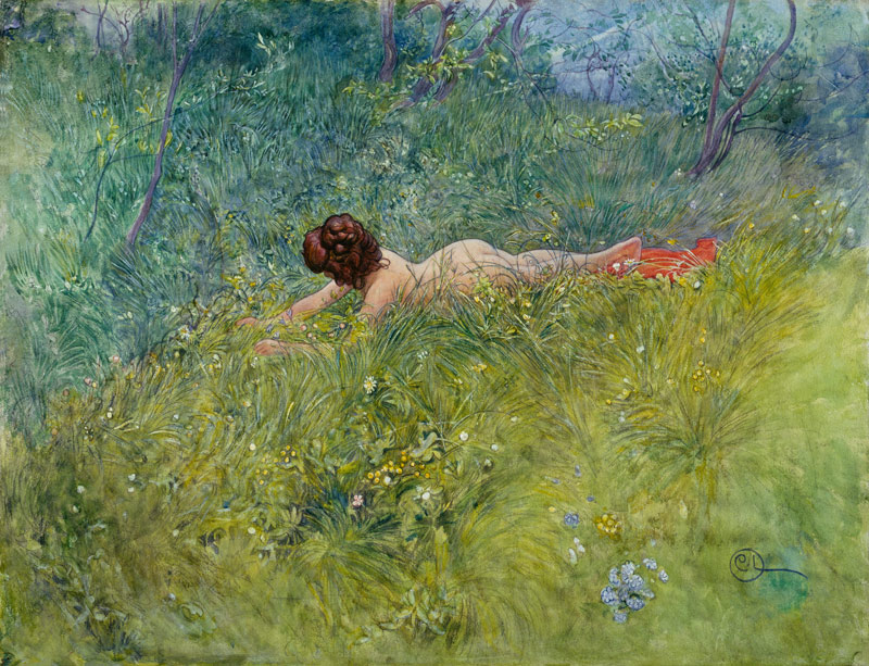 Dans l'herbe (I groengraset) à Carl Larsson