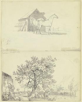 Zwei Pferde vor einem Stall; Garten an einem Wasserlauf bei Rödelheim
