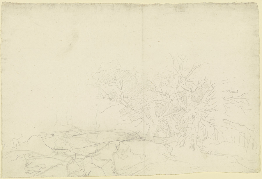 Landschaft mit Bäumen und Felsstücken à Carl Philipp Fohr