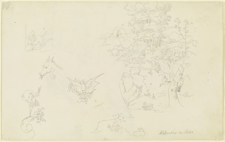 Tiere mit Ranken; eine Fledermaus; ein kleiner und ein größerer Landschaftsausschnitt mit zwei Vögel à Carl Philipp Fohr