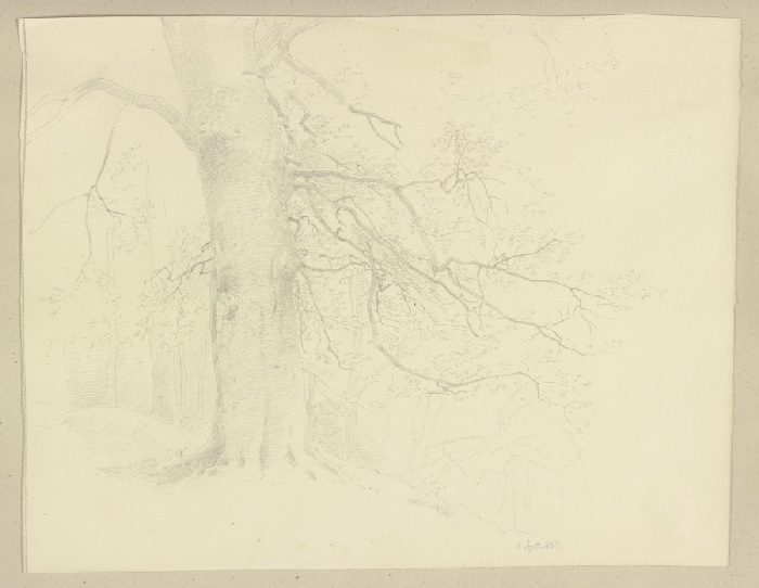 Old tree à Carl Theodor Reiffenstein