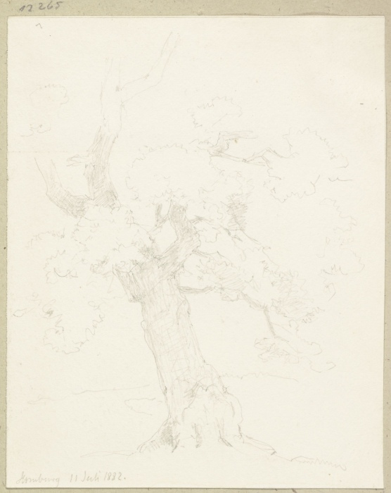 Old tree à Carl Theodor Reiffenstein