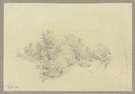 Bäume und Sträucher, im Hintergrund eine Bergsilhouette