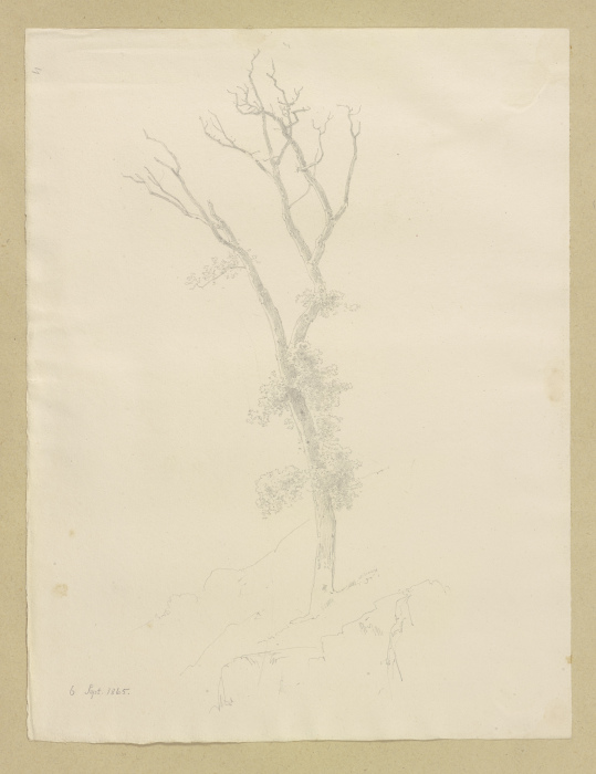 Baum mit abgestorbener Krone à Carl Theodor Reiffenstein