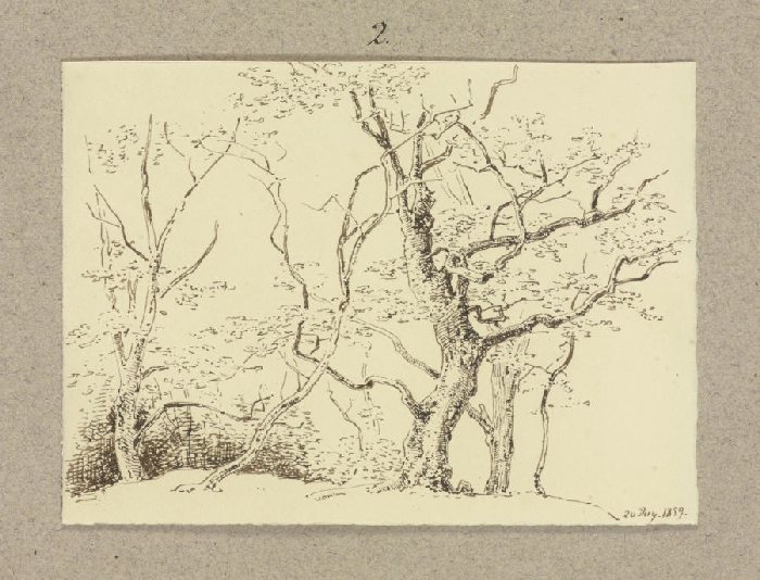 Group of trees à Carl Theodor Reiffenstein