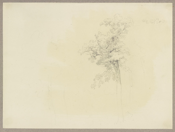 Treetop à Carl Theodor Reiffenstein