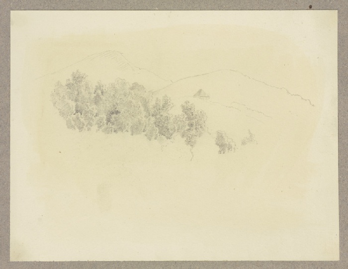 Baumkronen, im Hintergrund angedeutet bewaldete Berge und eine Hütte à Carl Theodor Reiffenstein
