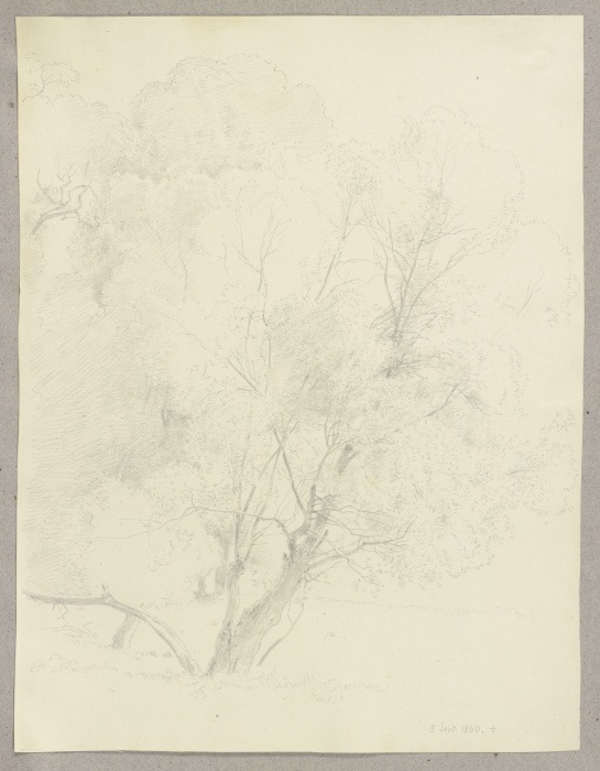 Row of trees à Carl Theodor Reiffenstein