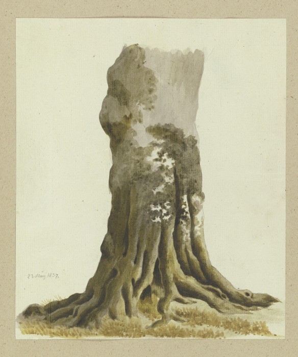 Tree trunk à Carl Theodor Reiffenstein