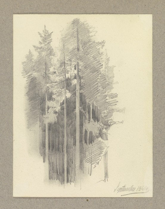 Thick conifer forest à Carl Theodor Reiffenstein