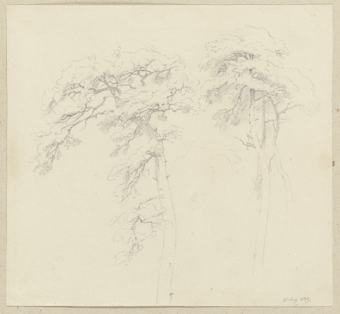 Three trees à Carl Theodor Reiffenstein