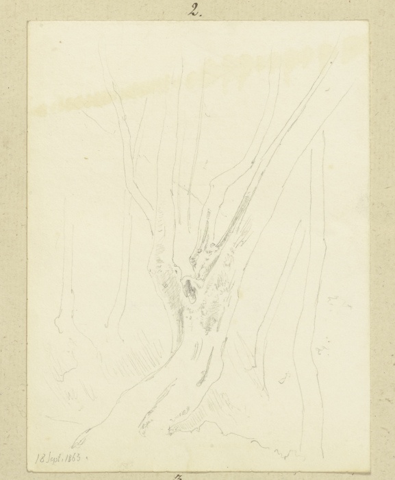 A tree à Carl Theodor Reiffenstein