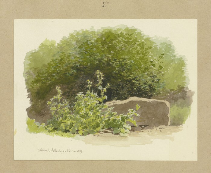 Eine Pflanze neben einem Steinblock, dahinter Sträucher à Carl Theodor Reiffenstein
