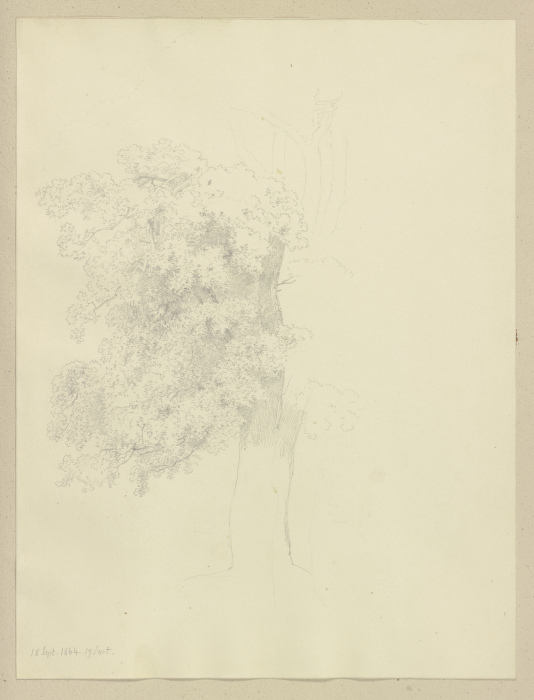 Large tree à Carl Theodor Reiffenstein